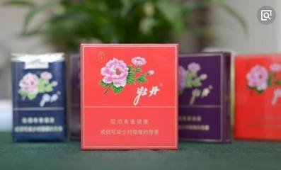 牡丹香韻 紅藍(lán)金紫間的審美對(duì)話(huà)